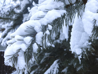 Similar image 21246506