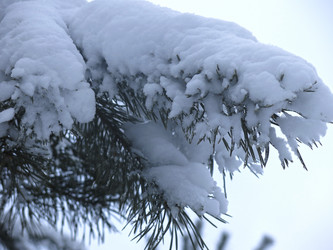 Similar image 21246507