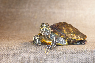 Similar image 21246588