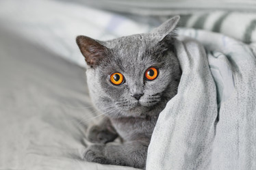 Similar image 21246169