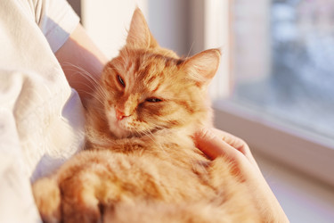 Similar image 21252153