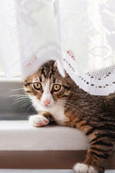 Similar image 21252155