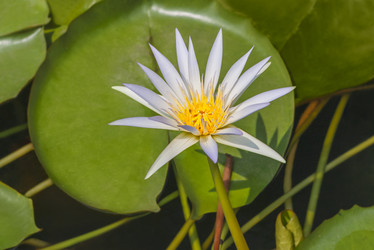 Similar image 21252156