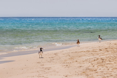 Similar image 21252160