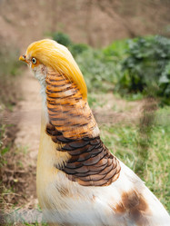 Similar image 21252164