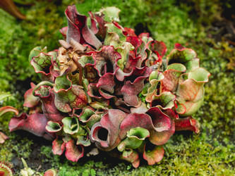 Similar image 21252169