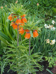 Similar image 21246171