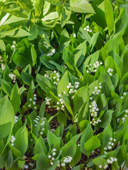 Similar image 21252172