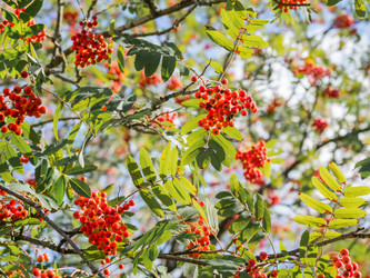 Similar image 21252173