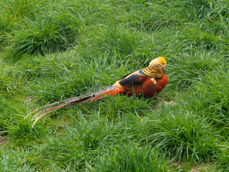 Similar image 21252178