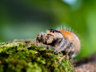 Similar image 21246173