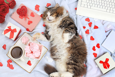 Similar image 21246707