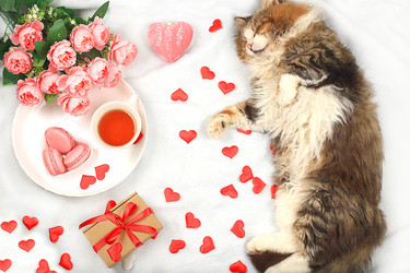 Similar image 21246708