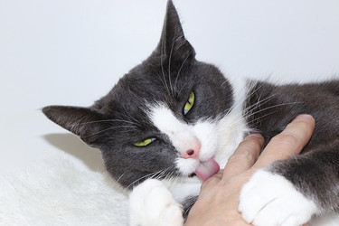 Similar image 21246709