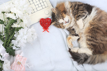 Similar image 21246711