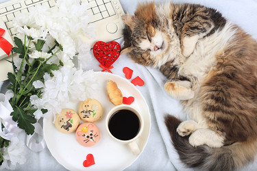 Similar image 21246712