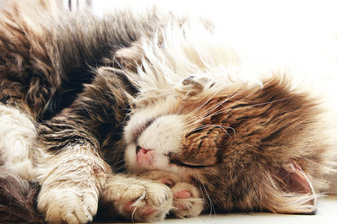 Similar image 21246746