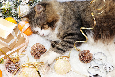 Similar image 21246749