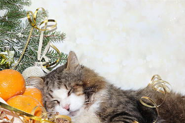 Similar image 21246755