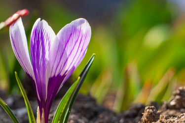 Similar image 21251897