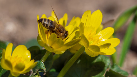 Similar image 21251898