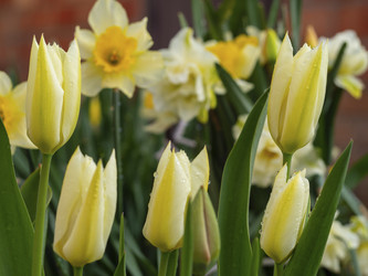 Similar image 21251900