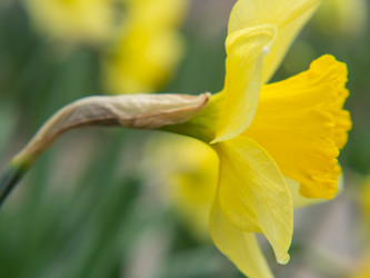 Similar image 21251904