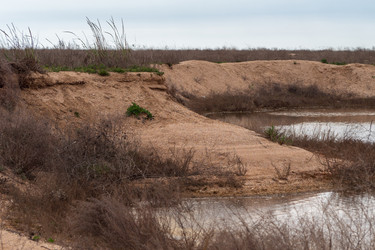 Similar image 21251906