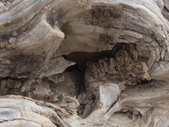 Similar image 21251908