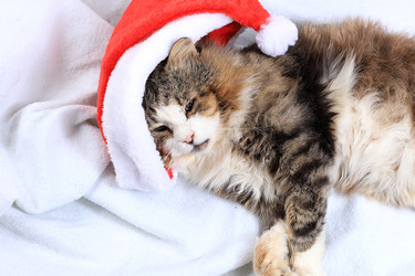 Similar image 21246824