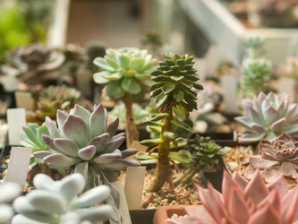 Similar image 21252188