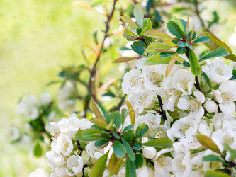 Similar image 21252190