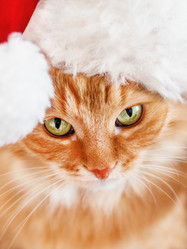 Similar image 21246179