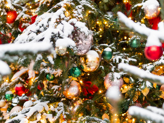 Similar image 21252251