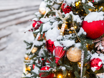 Similar image 21252252