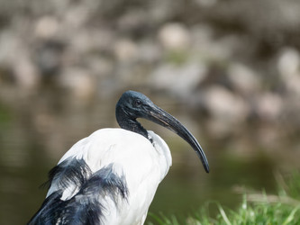 Similar image 21252255