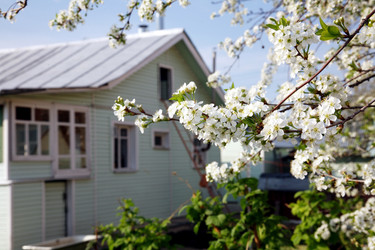 Similar image 21246536