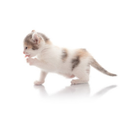 Similar image 21257620