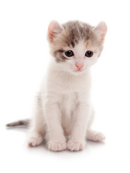 Similar image 21257621