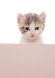 Similar image 21246672