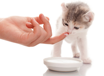 Similar image 21246673