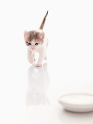 Similar image 21257623