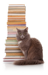 Similar image 21257624