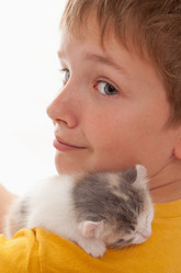 Similar image 21257625