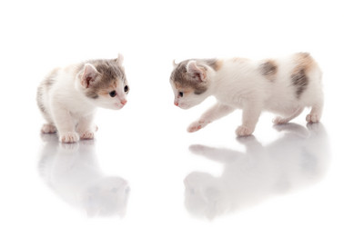 Similar image 21246674