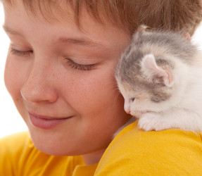 Similar image 21246730