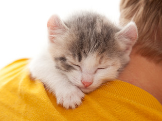 Similar image 21246731