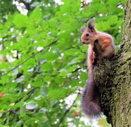 Similar image 21249286