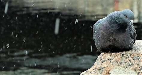 Similar image 21249287