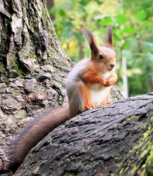 Similar image 21249289